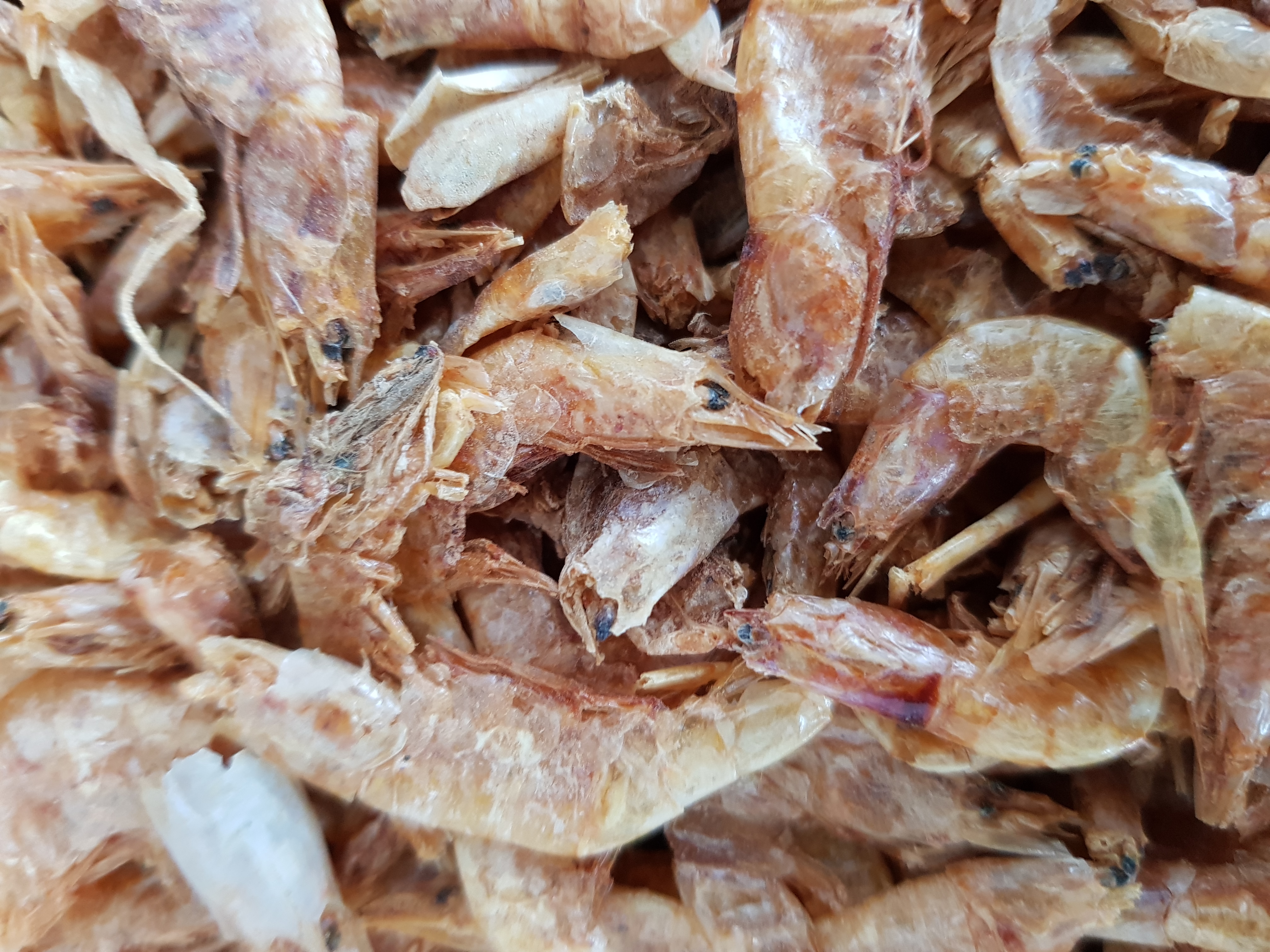Shrimps getrocknet 1kg 3-5 cm Hundefutter, Fischfutter, Schildkrötenfuter